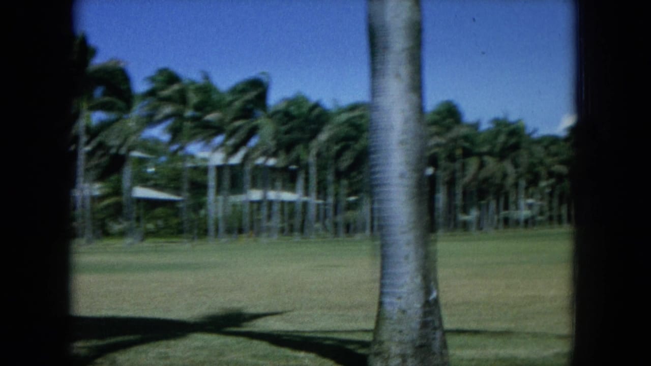 Palm-lined grassy area with a house partly visible behind trees and a dark film border.