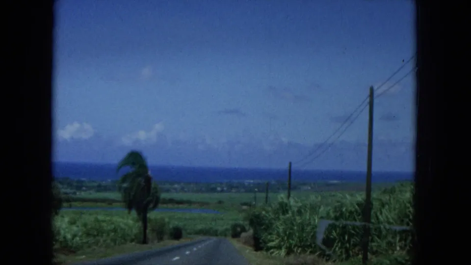 1964 Hawaii 8mm frame showing roadside utility poles, green fields, palms, and a distant blue ocean horizon.