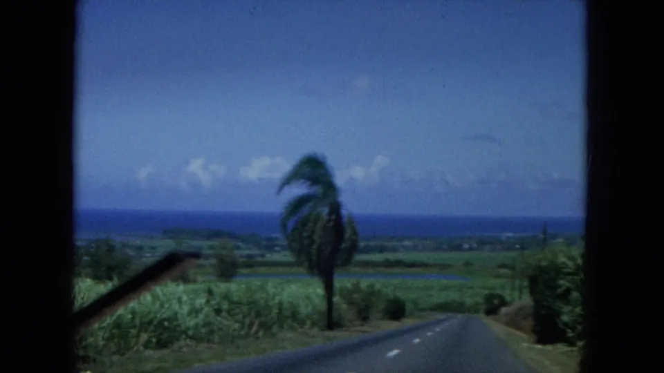 1964 Hawaii roadside frame with a curving paved road, tall palm, green fields, and distant ocean beneath blue sky.