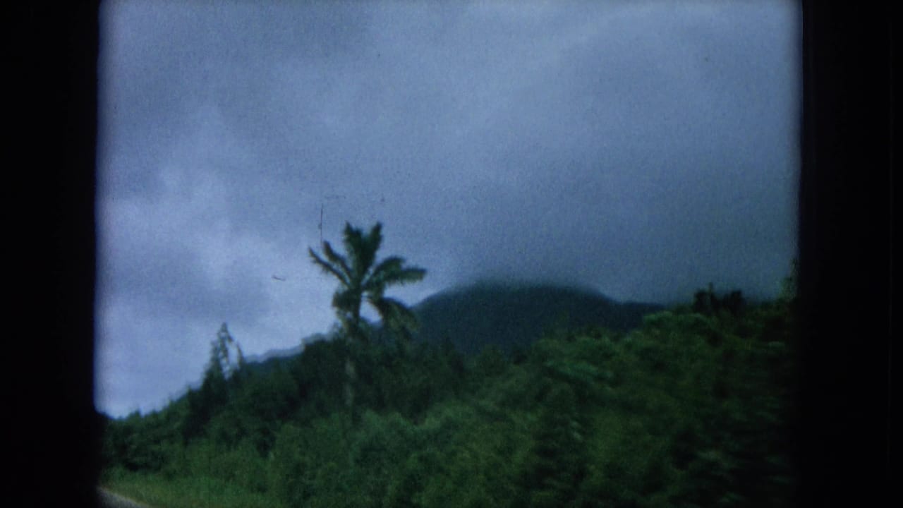 Palm tree and dense tropical vegetation with a dark mountain behind a cloudy sky.
