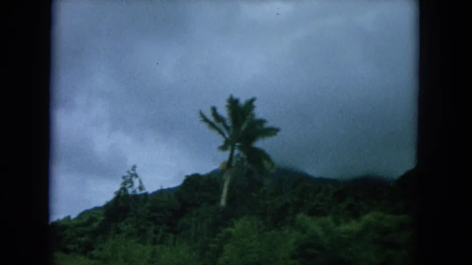 1964 8mm Hawaii roadside scenery with a leaning palm, thick greenery, and misty mountain slopes under clouds.