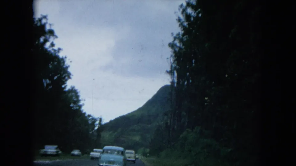 1964 Oahi, Hawaii driving frame with several classic cars on a tree-lined mountain road in overcast light.