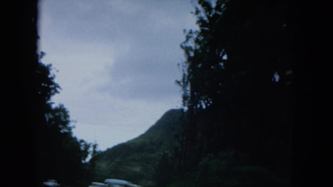 Mountain road seen from a moving vehicle with trees and an overcast sky.