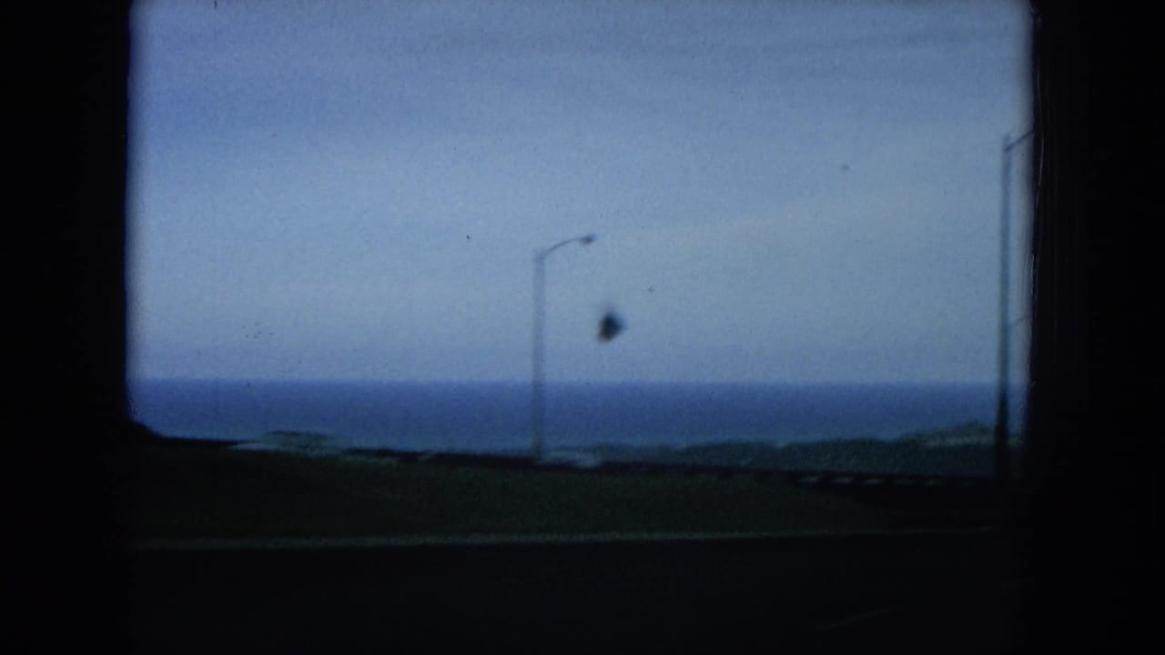 Coastal highway view with ocean horizon, lamp posts, road edge, and a small bird against the sky.