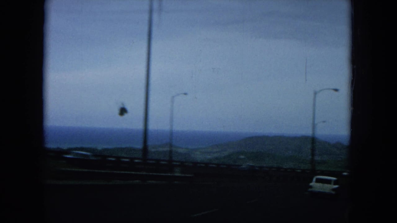 Roadside coastal view with lamp posts, guardrail, distant hills, ocean, and a bird in the sky.