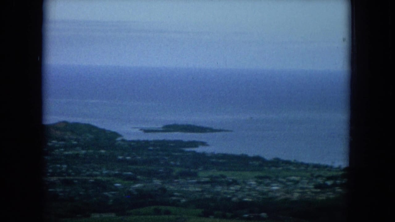1964 Hawaii 8mm frame showing a high view of green coastal land, scattered settlement, blue water, and an offshore island shape.