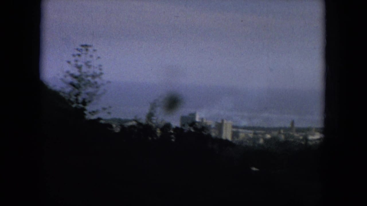 Distant city skyline and coast seen from a shaded hillside.