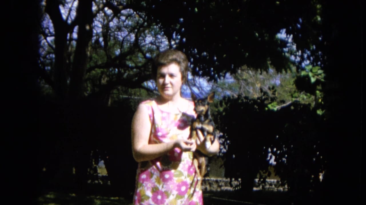 1964 Hawaii home-movie frame of a woman holding a small black and tan dog under trees in a sun-dappled yard.