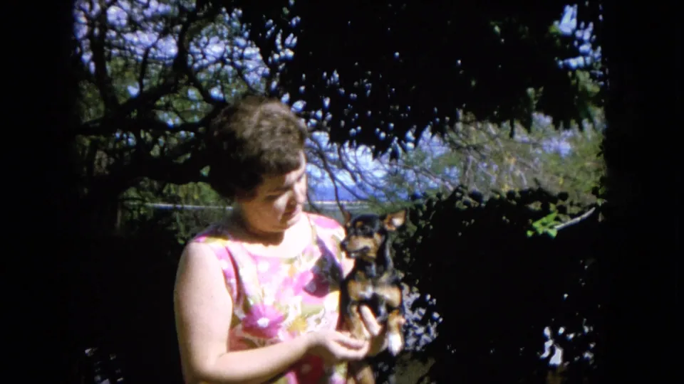 The woman lowers her gaze toward the small dog in her arms, with leafy trees and bright outdoor light behind her.