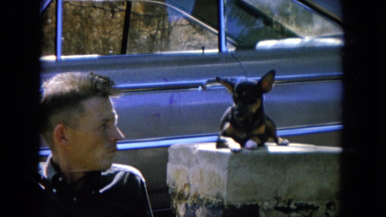 Man looks toward a small dog resting on a concrete block near a parked car.