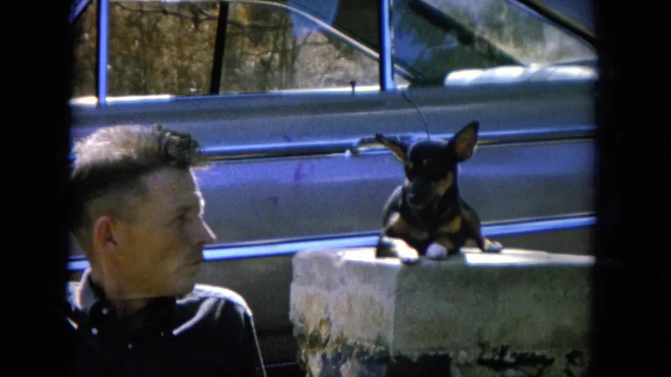 Man turns toward a small black-and-tan dog perched on a concrete block beside a vintage car in 1964 Hawaii footage.