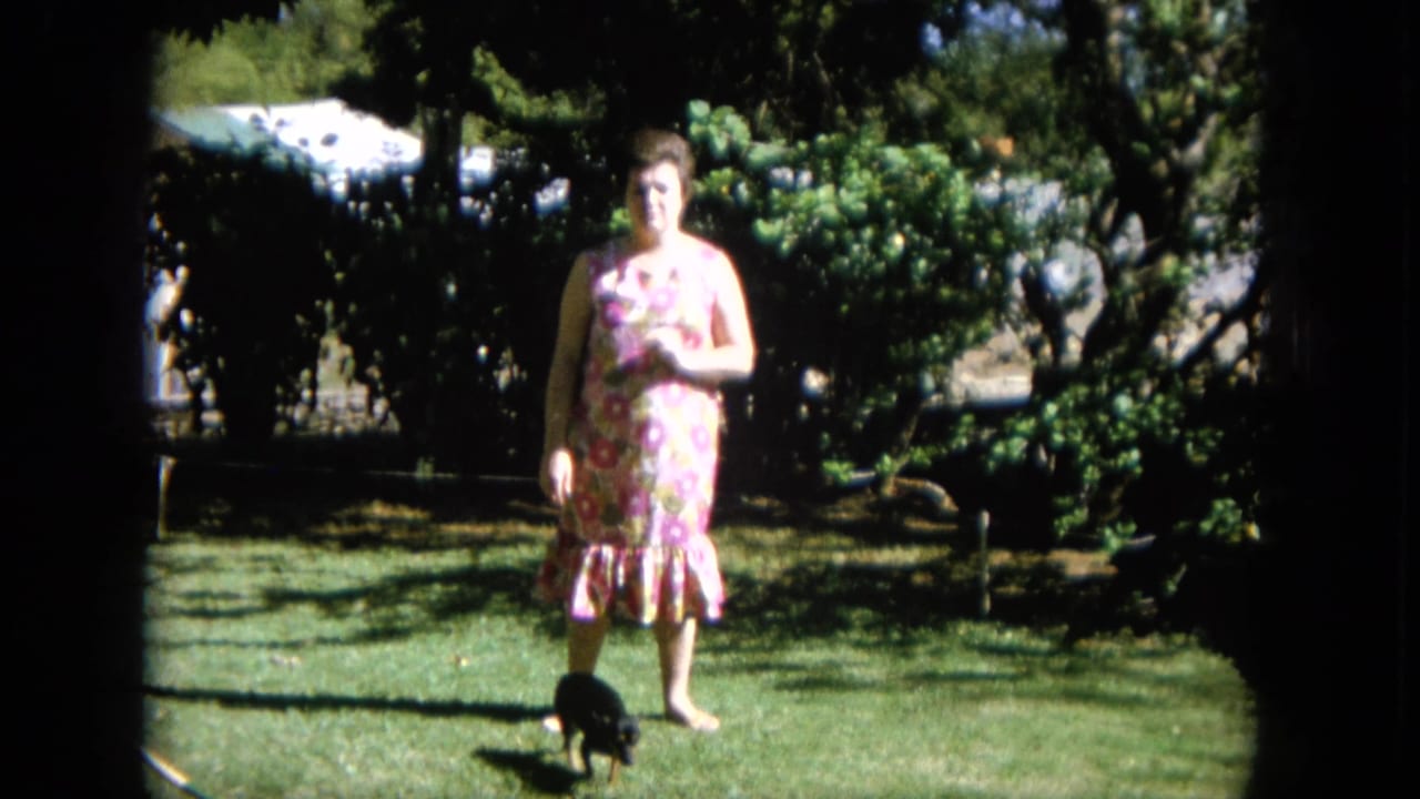 In supported 1964 Hawaii home-movie footage, a woman in a pink floral dress poses on a sunny lawn as a small black puppy moves nearby.