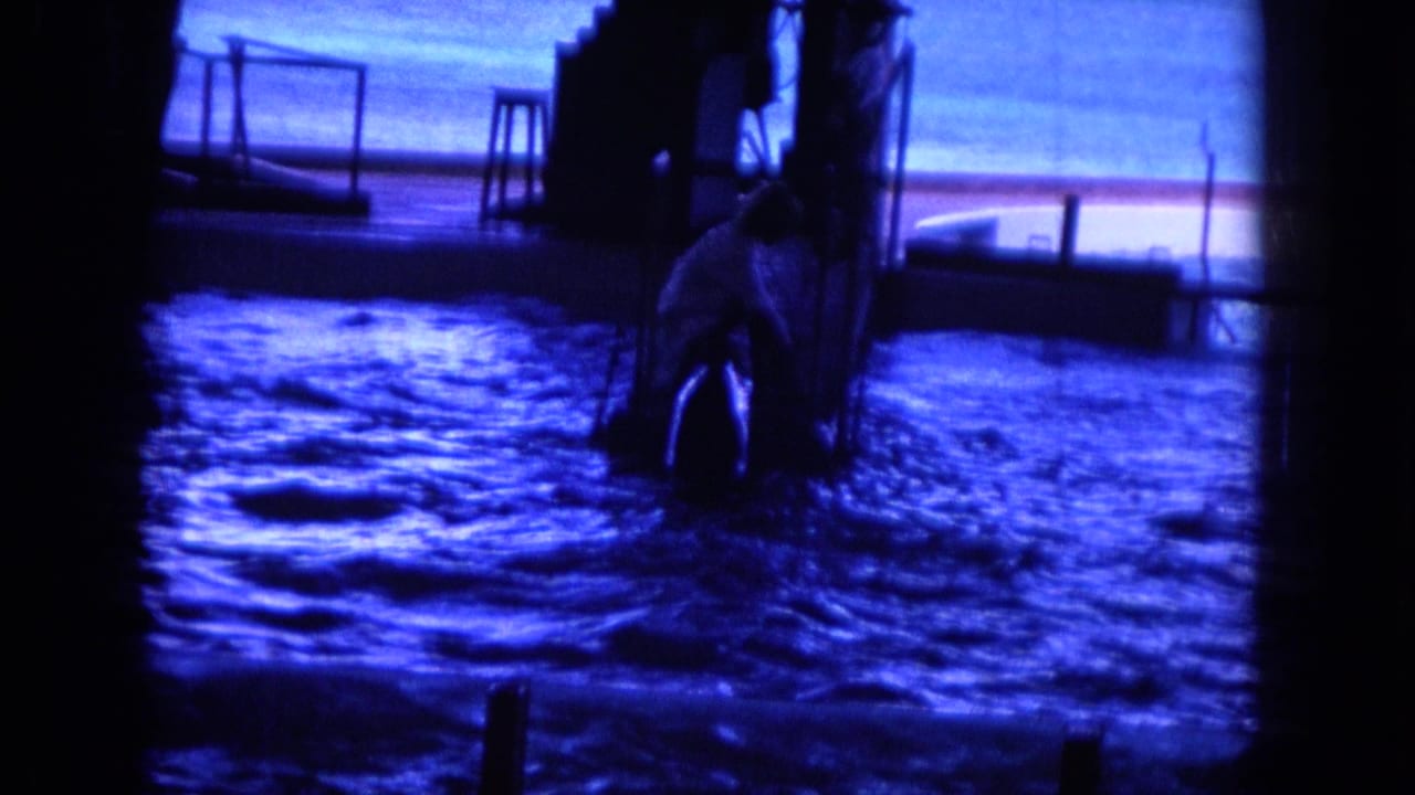 A person appears in the dolphin pool area in 1964 Hawaii footage, with railings, posts, and water surrounding them.