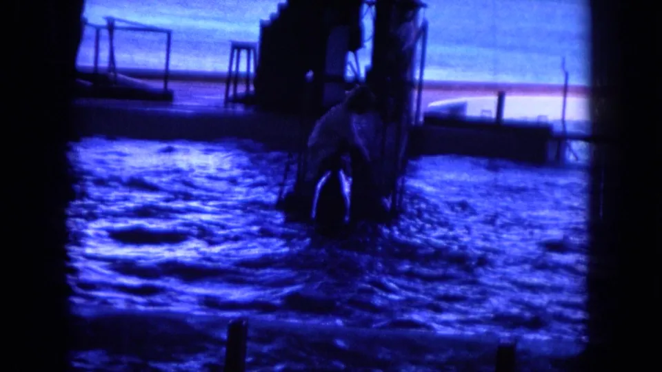 A person appears in the dolphin pool area in 1964 Hawaii footage, with railings, posts, and water surrounding them.
