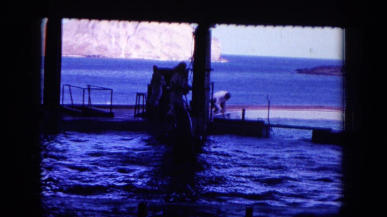 1964 Hawaii home-movie frame with people in silhouette near a platform inside or beside a marine water enclosure, seen from a dark interior.