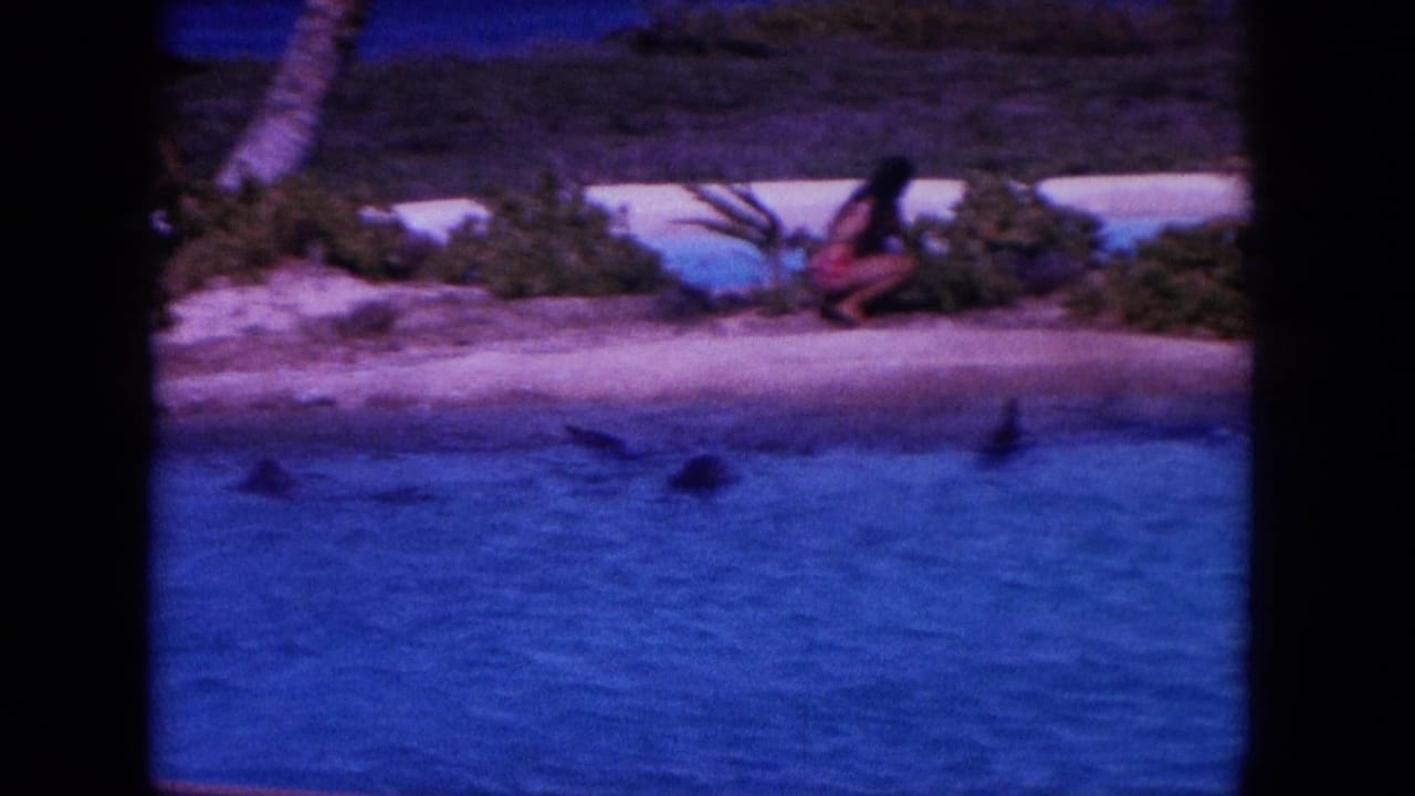 Woman crouching on a sandy beach as dolphin fins appear in the blue water nearby.