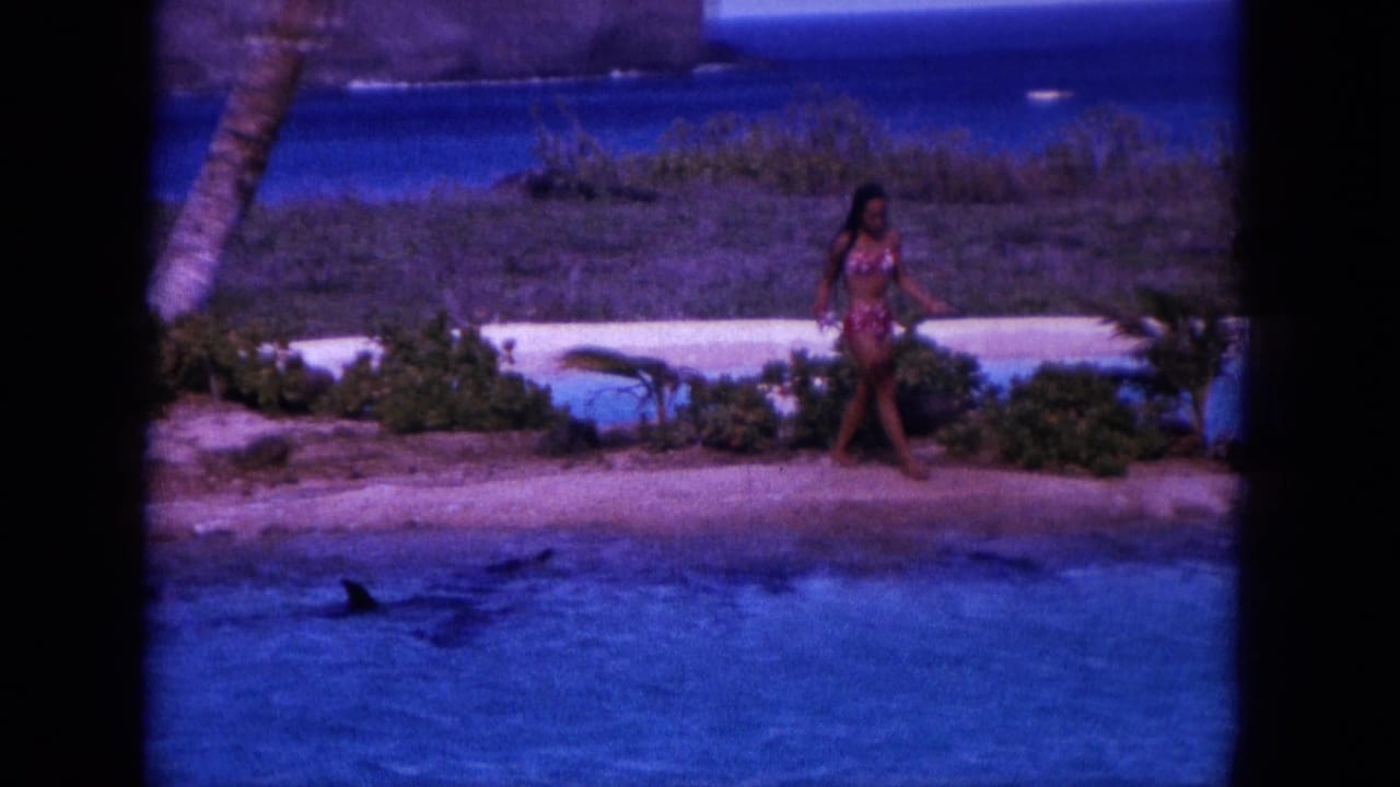 1964 Oahi, Hawaii 8mm frame of a woman in a patterned bikini walking on a sandy beach while dolphins surface in the water.