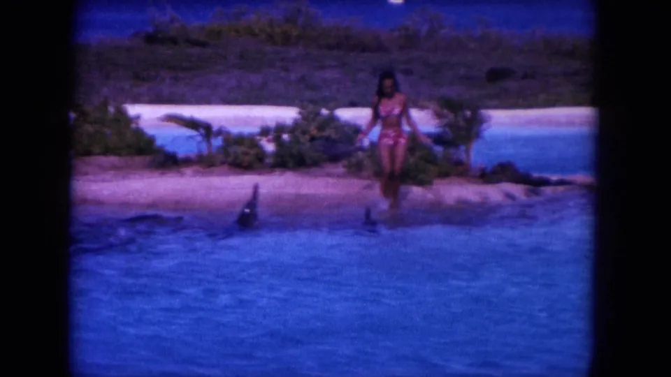 1964 Oahi, Hawaii 8mm frame showing a woman entering shallow blue water while dolphin fins break the surface nearby.