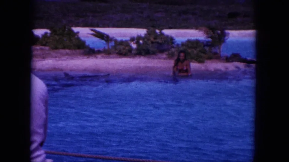 1964 Oahi, Hawaii 8mm frame of a woman wading near shore as dolphins move through the blue water in front of the beach.