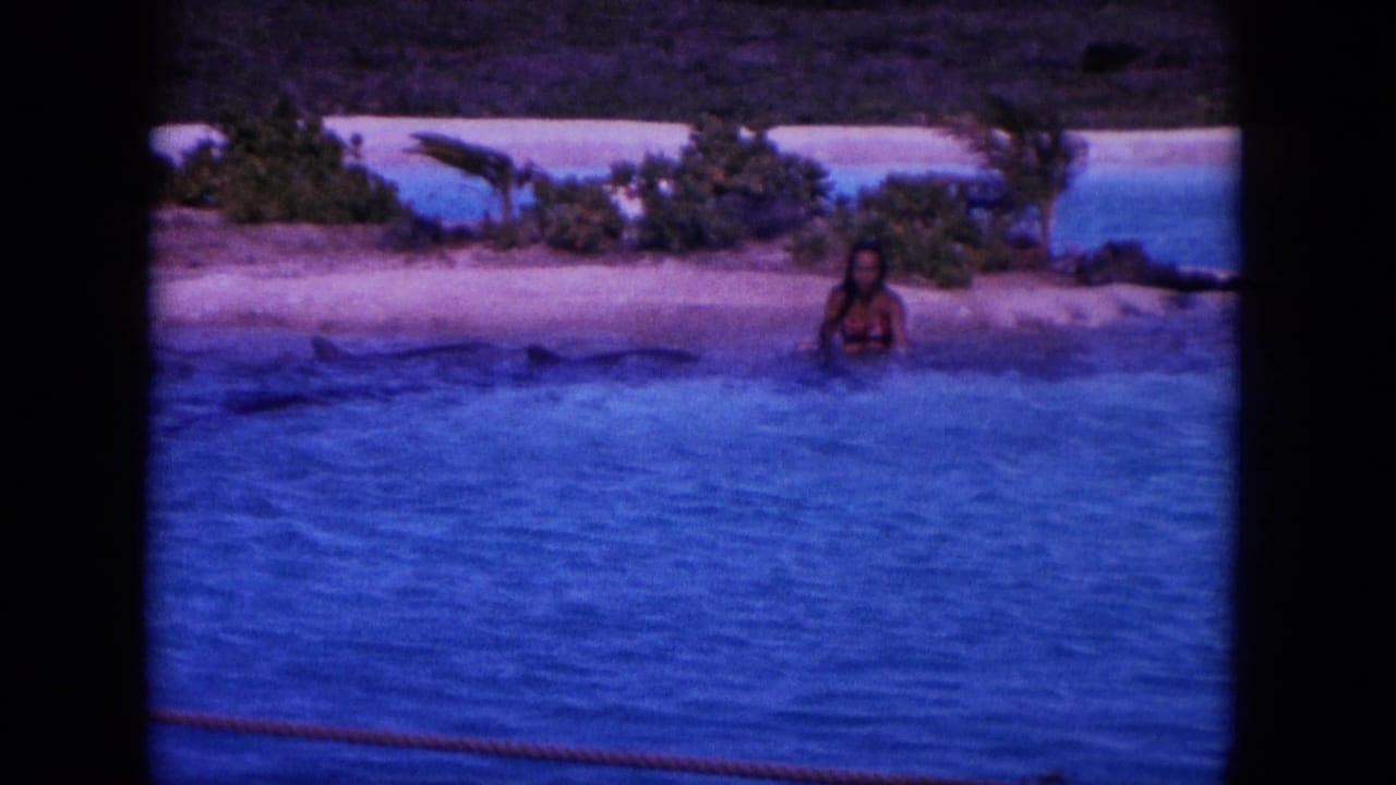 Distant person standing in shallow blue water near a sandy shore as dolphins surface nearby.