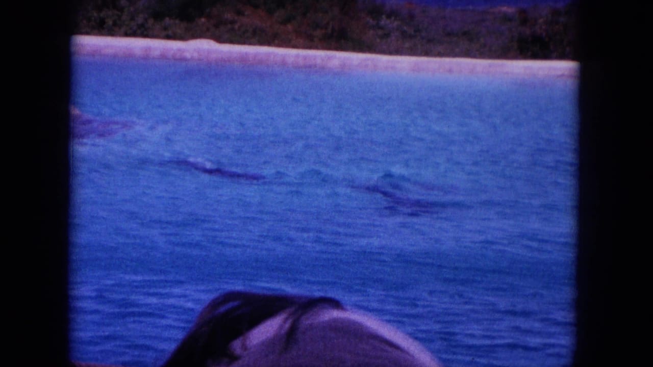 1964 Hawaii home-movie frame showing a dolphin near a boat in blue water, with a pale beach and dark shoreline behind it.