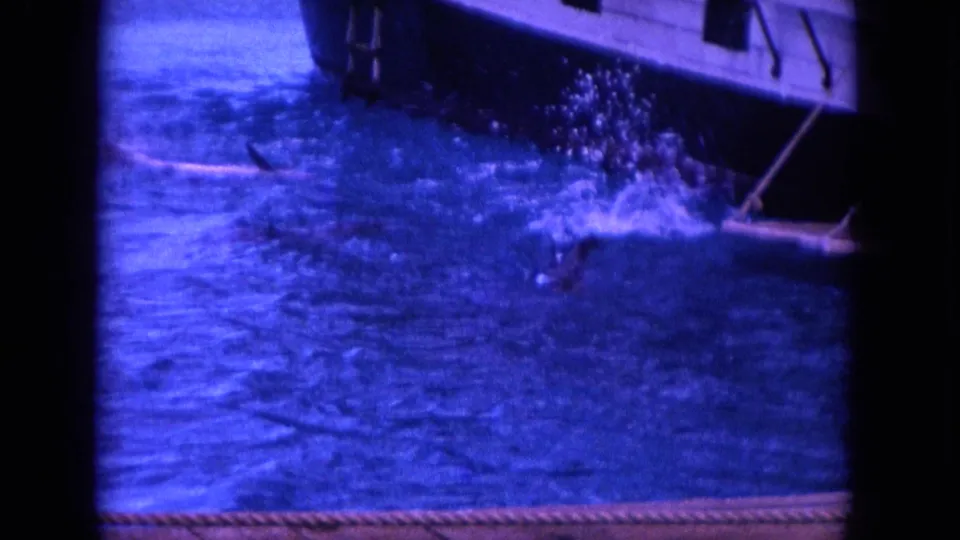 1964 Hawaii home-movie frame showing a dolphin splash near a boat stern, with strong blue color shift and visible 8mm borders.