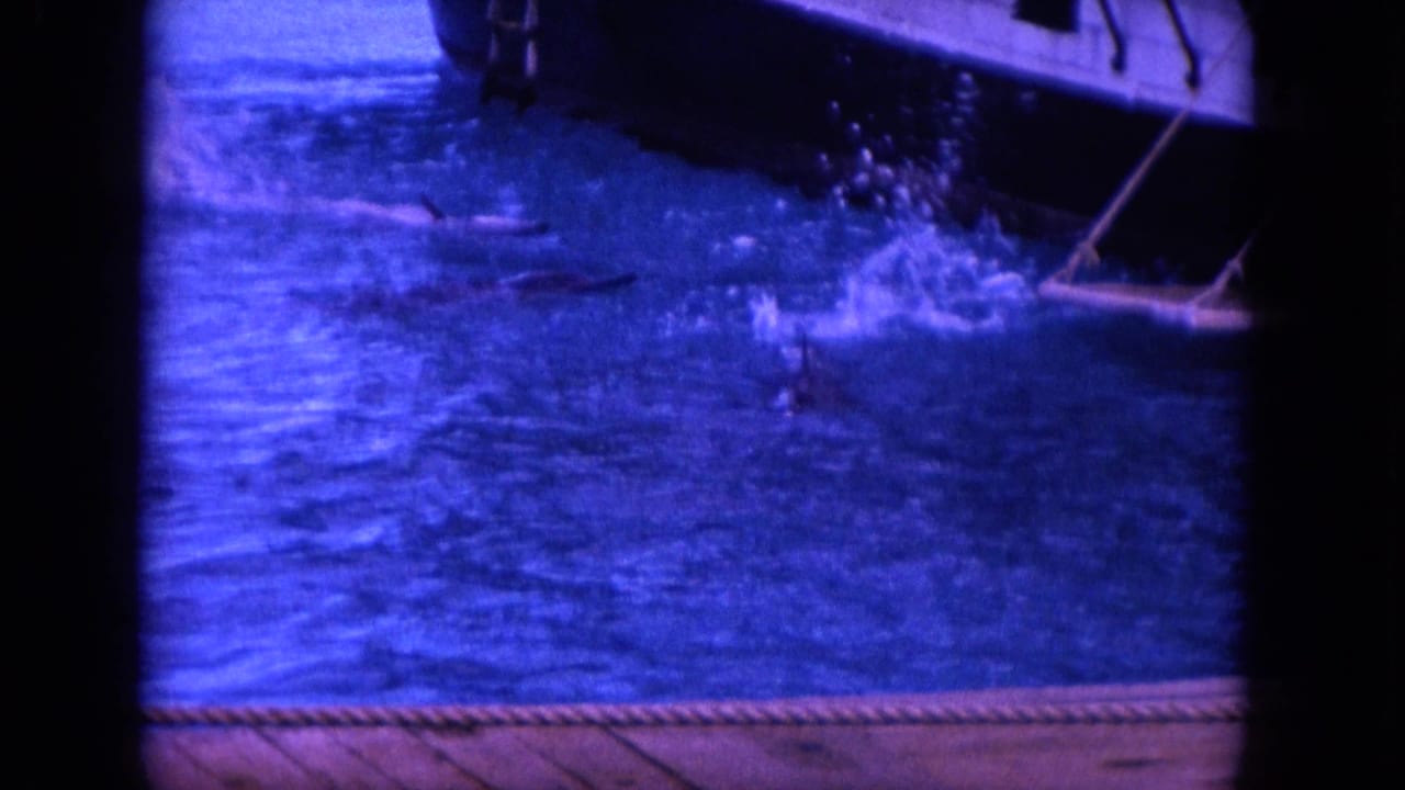Boat edge over blue water as a dolphin splashes near the surface.