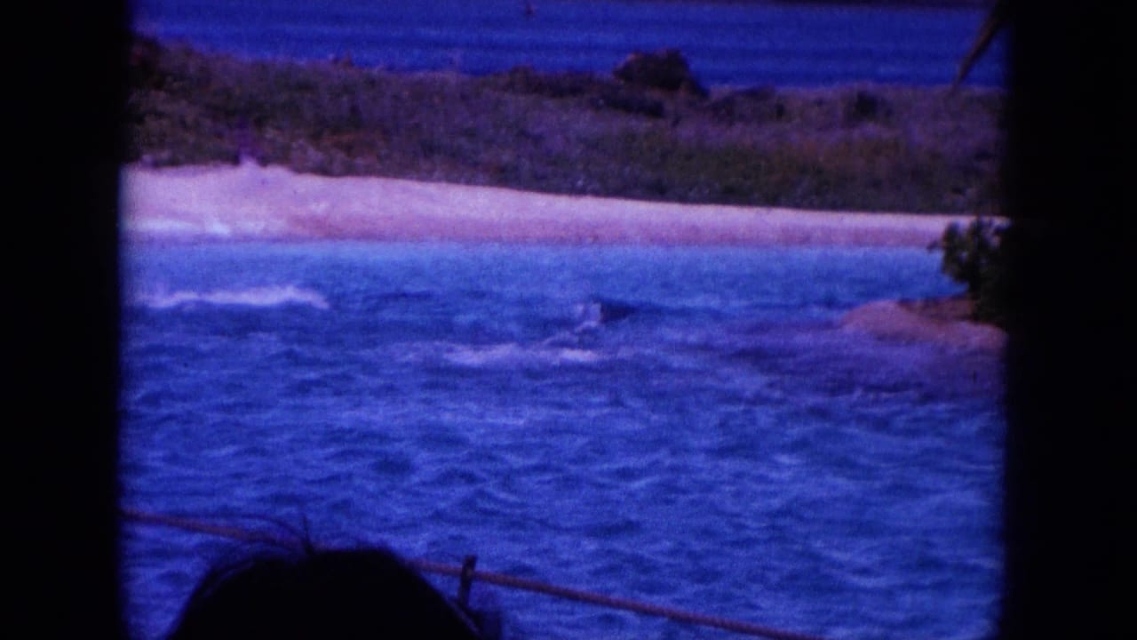 1964 Hawaii 8mm frame showing dolphins or splashes in coastal water with a sandy beach and low greenery beyond.
