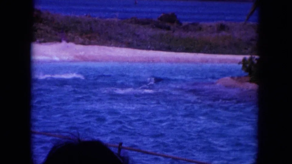1964 Hawaii 8mm frame showing dolphins or splashes in coastal water with a sandy beach and low greenery beyond.