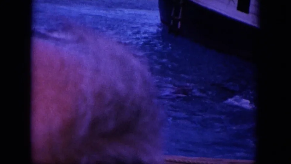 1964 Hawaii 8mm frame showing blurred blue water, shoreline, and dark film-frame borders, with wildlife no longer distinct.
