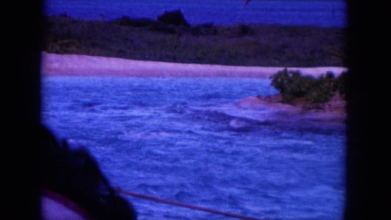 1964 Hawaii home-movie view of dolphins leaping in tropical water, with a pale beach and dark green coastal hills in the background.