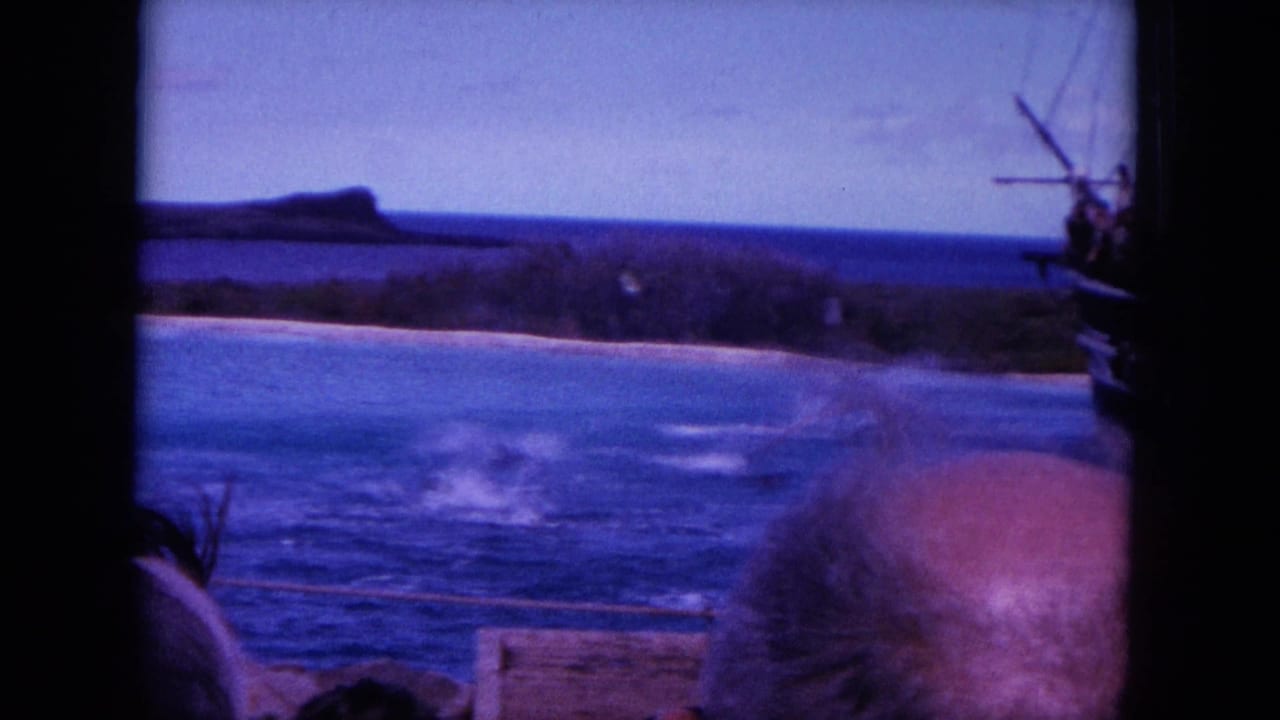 Blue coastal water with a splash, distant shoreline, wooden ship at right, and a spectator's head in the foreground.