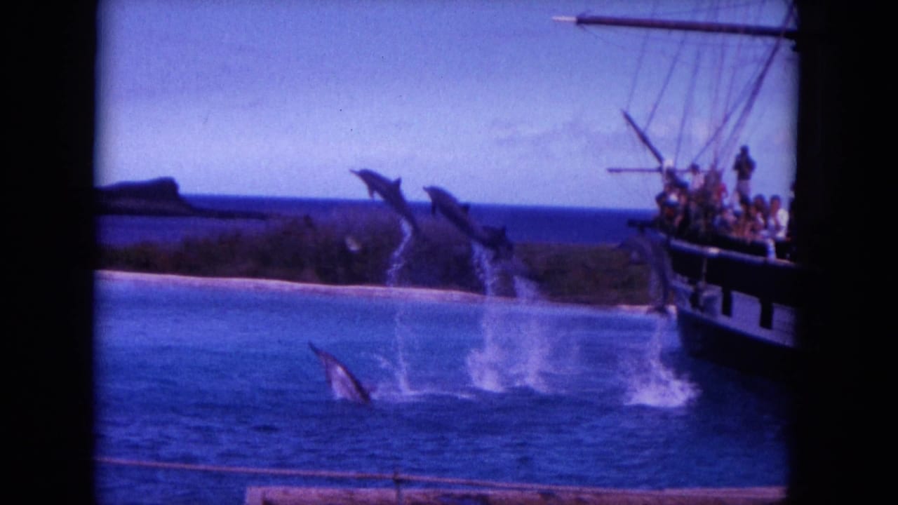 1964 Hawaii 8mm frame with dolphins jumping beside a wooden spectator ship against blue water and low coastal land.