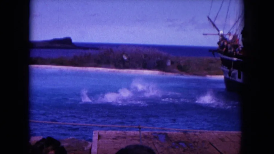 1964 8mm Hawaii frame showing dolphin splash activity near a wooden viewing ship and a bright coastal backdrop.