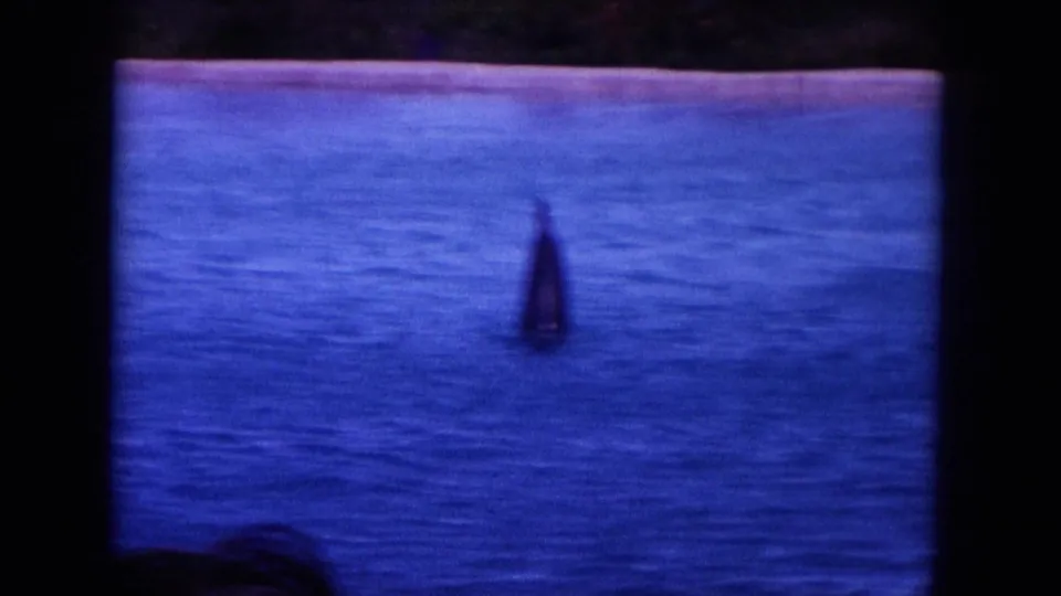 1964 Oahi, Hawaii 8mm frame showing a dark marine shape in blue water with beach and vegetation beyond.