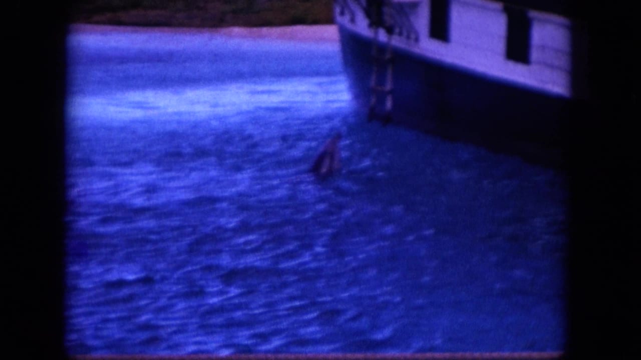 Dolphin surfacing in blue water beside a docked boat hull.