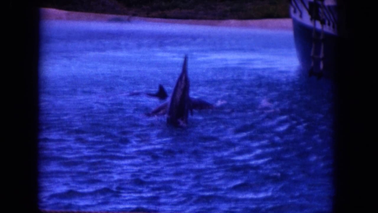 Dolphin leaping upright from blue water near a boat edge.