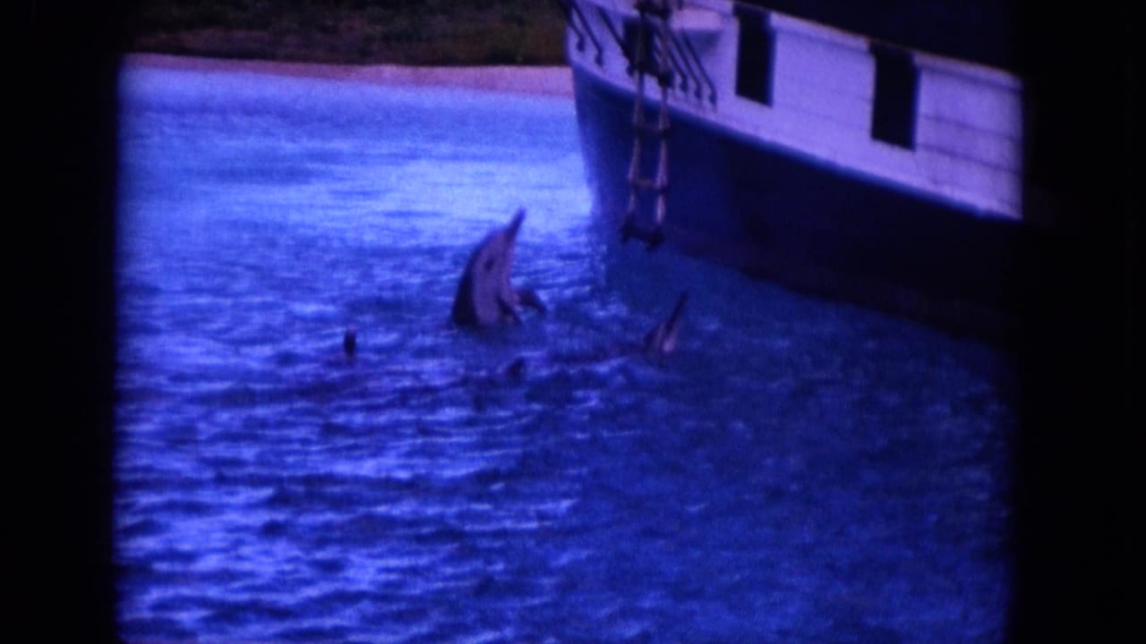 Dolphins surface in blue water beside the hull of a white boat.