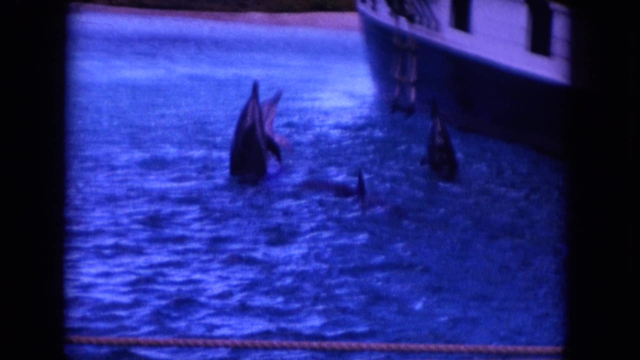 Several dolphins rise from rippled water next to a boat.