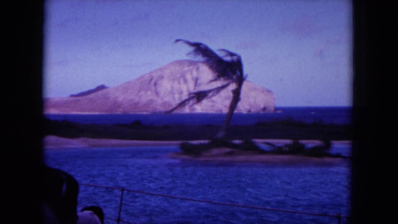 Wind-bent palm tree above blue ocean with a rocky island or headland beyond.