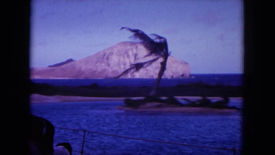1964 Hawaii 8mm frame showing a palm tree bent by strong wind near the ocean, with an offshore island or headland in the background.