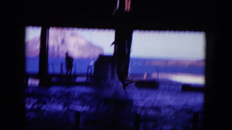 1964 Hawaii 8mm frame from a shaded waterfront vantage point, with posts, ocean, distant land, and a dark moving shape near the water.