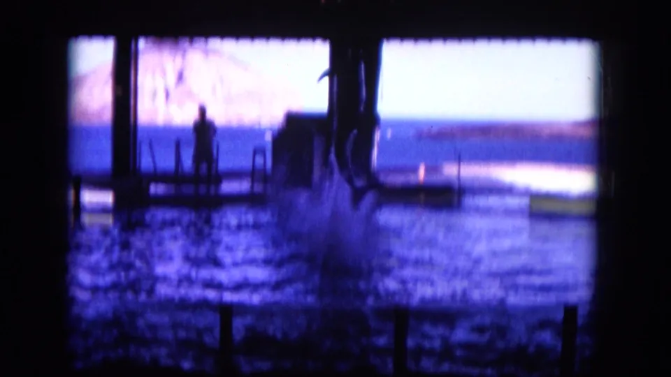 1964 8mm Hawaii frame capturing a dolphin mid-jump beside a dock, with a silhouetted person watching at dusk.
