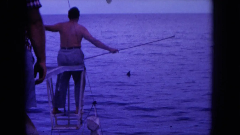 1964 Oahu home-movie frame showing a man on the boat bow reaching toward a dark fin-like shape in the ocean with a long pole.