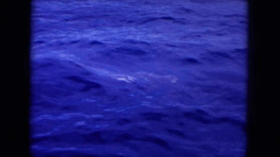 Blue-tinted 1964 Hawaii 8mm frame of ocean water with a brief pale shape or splash near the surface.