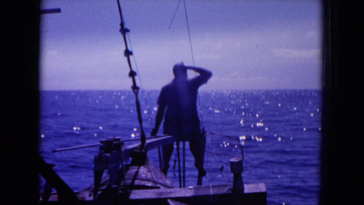 Man on a boat shades his eyes while looking across a bright ocean horizon.