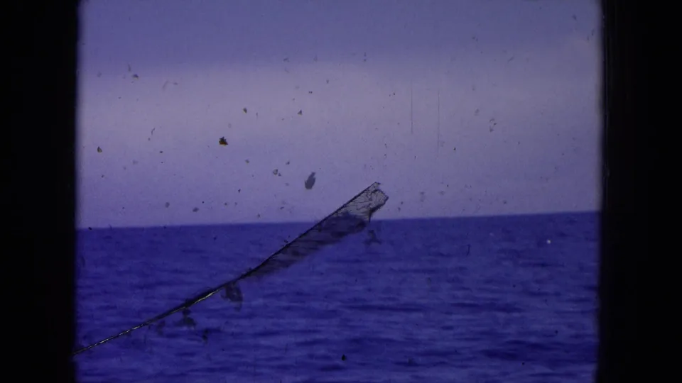 1964 Hawaii 8mm frame of open sea with a curved fishing pole or line crossing the foreground.