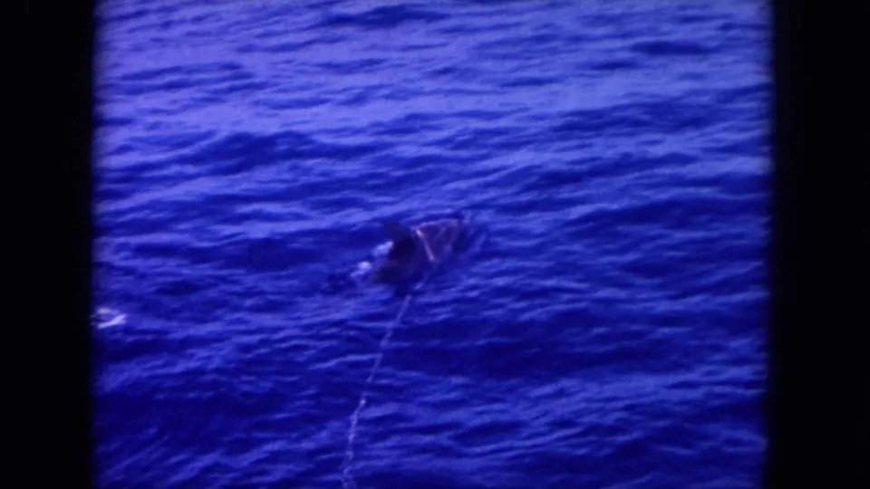 1964 Hawaii 8mm frame with a taut fishing line leading across deep blue water toward a small surface disturbance.