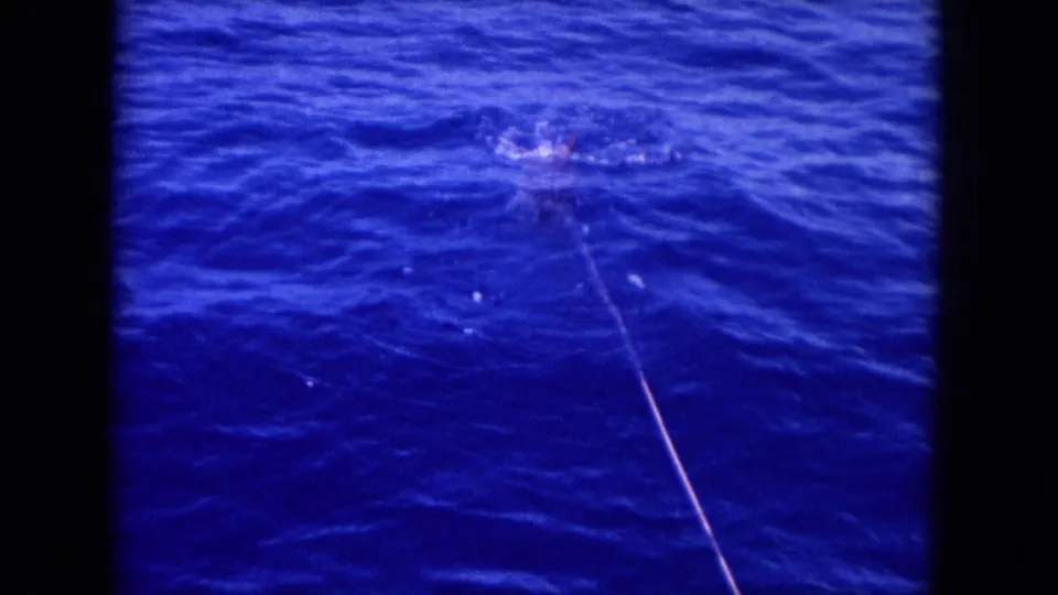 1964 Hawaii 8mm frame showing a hooked fish splashing in blue ocean water as the line pulls toward it.