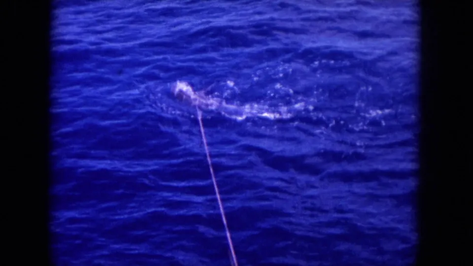 1964 Hawaii 8mm frame showing the hooked fish churning the water beside a taut fishing line near the surface.